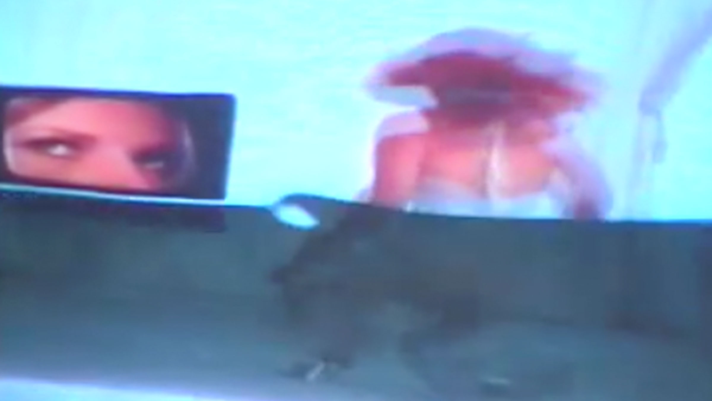 Cheryl Donegan slide 0