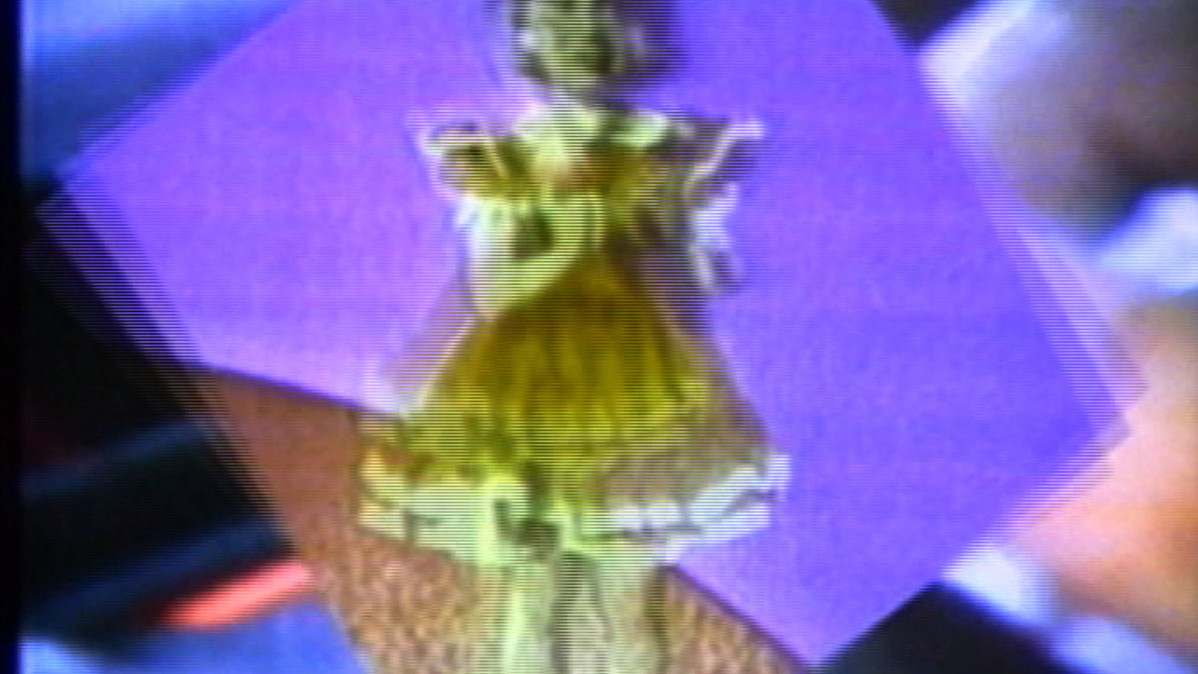 Dara Birnbaum  slide 0