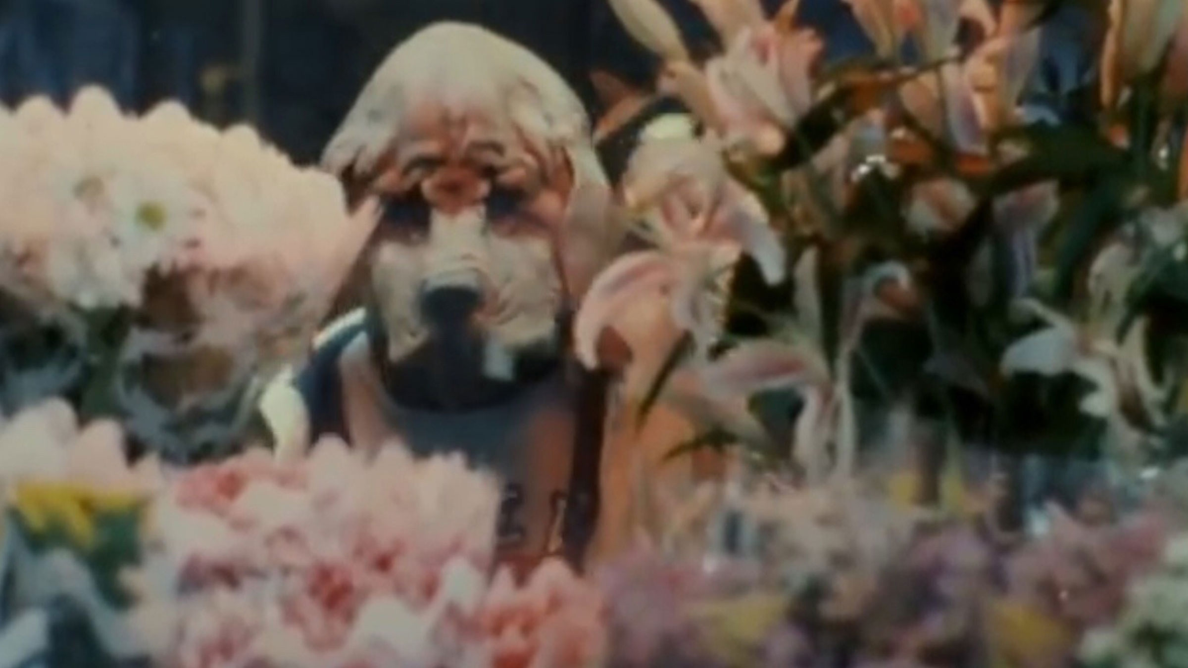The Director’s Music Video (1991 – 1998) slide 0