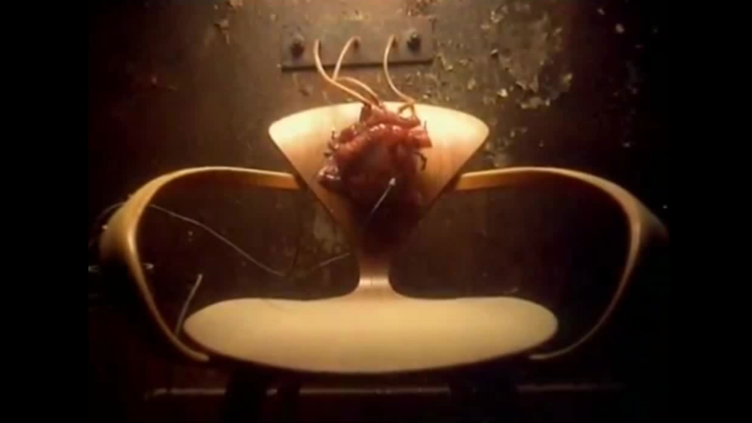 The Director’s Music Video (1991 – 1998) slide 1