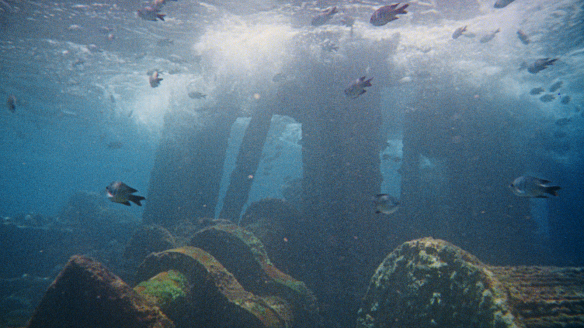 The Great Barrier Reef slide 3