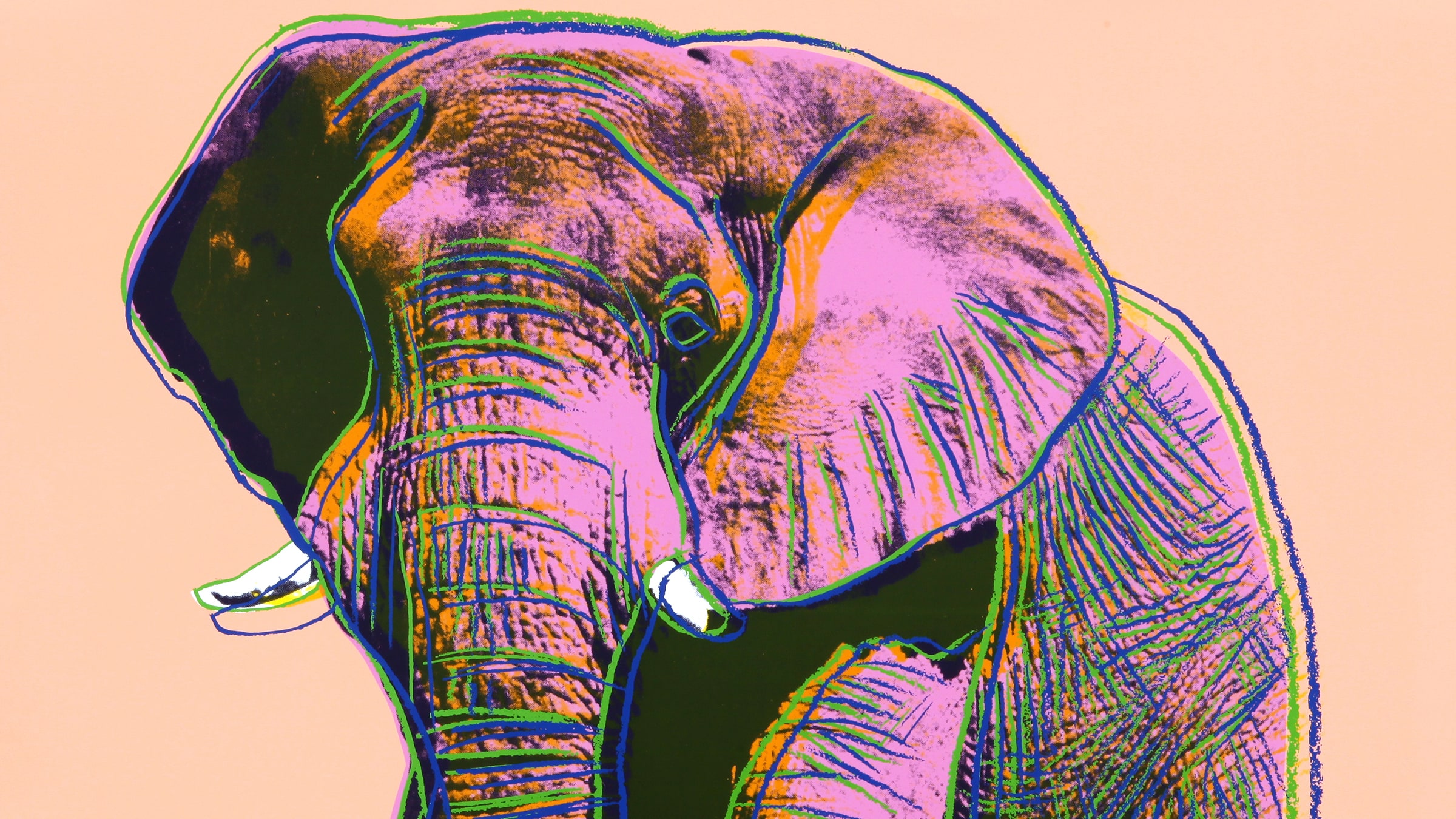 Andy Warhol slide 0