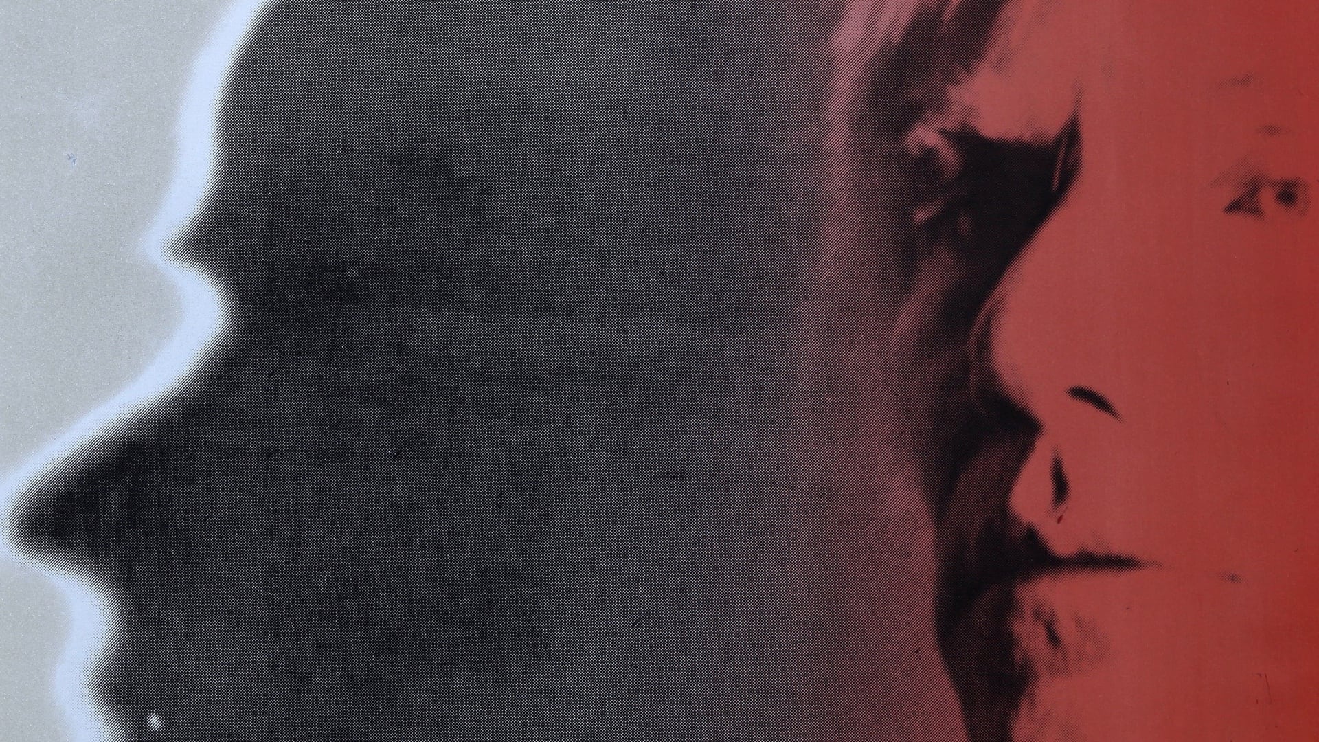 Andy Warhol slide 1