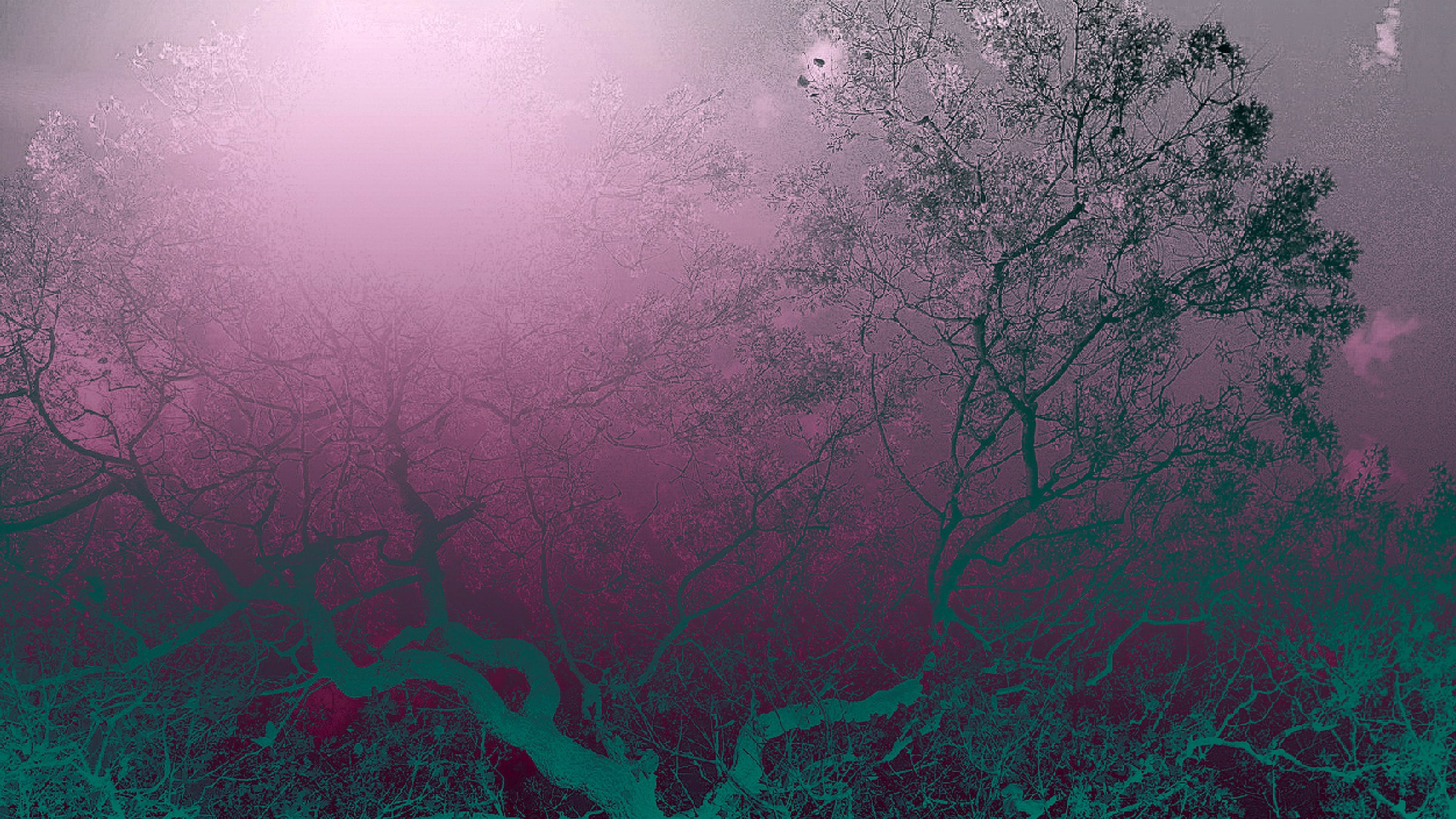 The Sky Sparkles <br/>In Praise of Chekhov 0