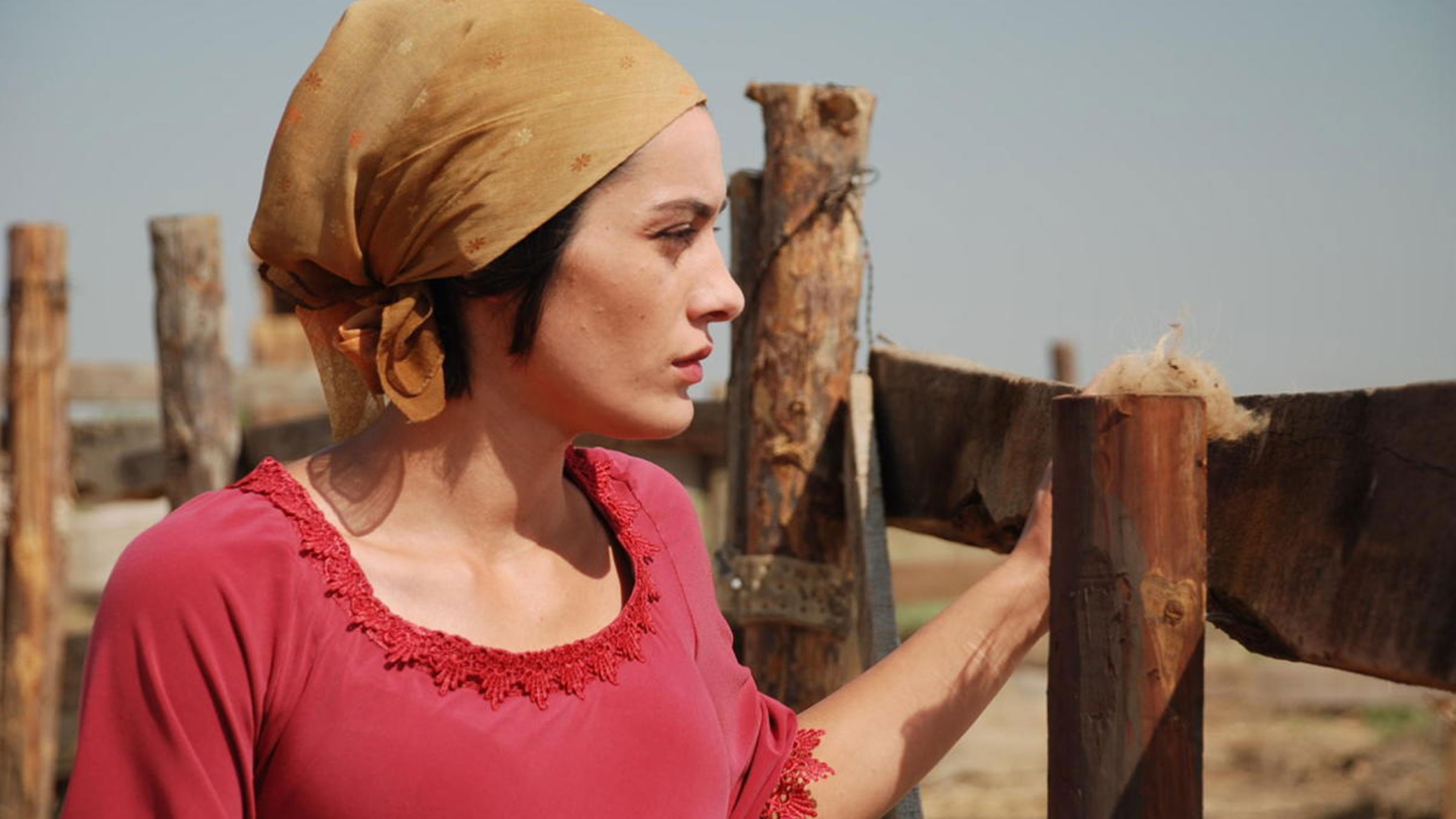 “Bu Kino Çox Gözal”<br/> Cinema of Azerbaijan 0