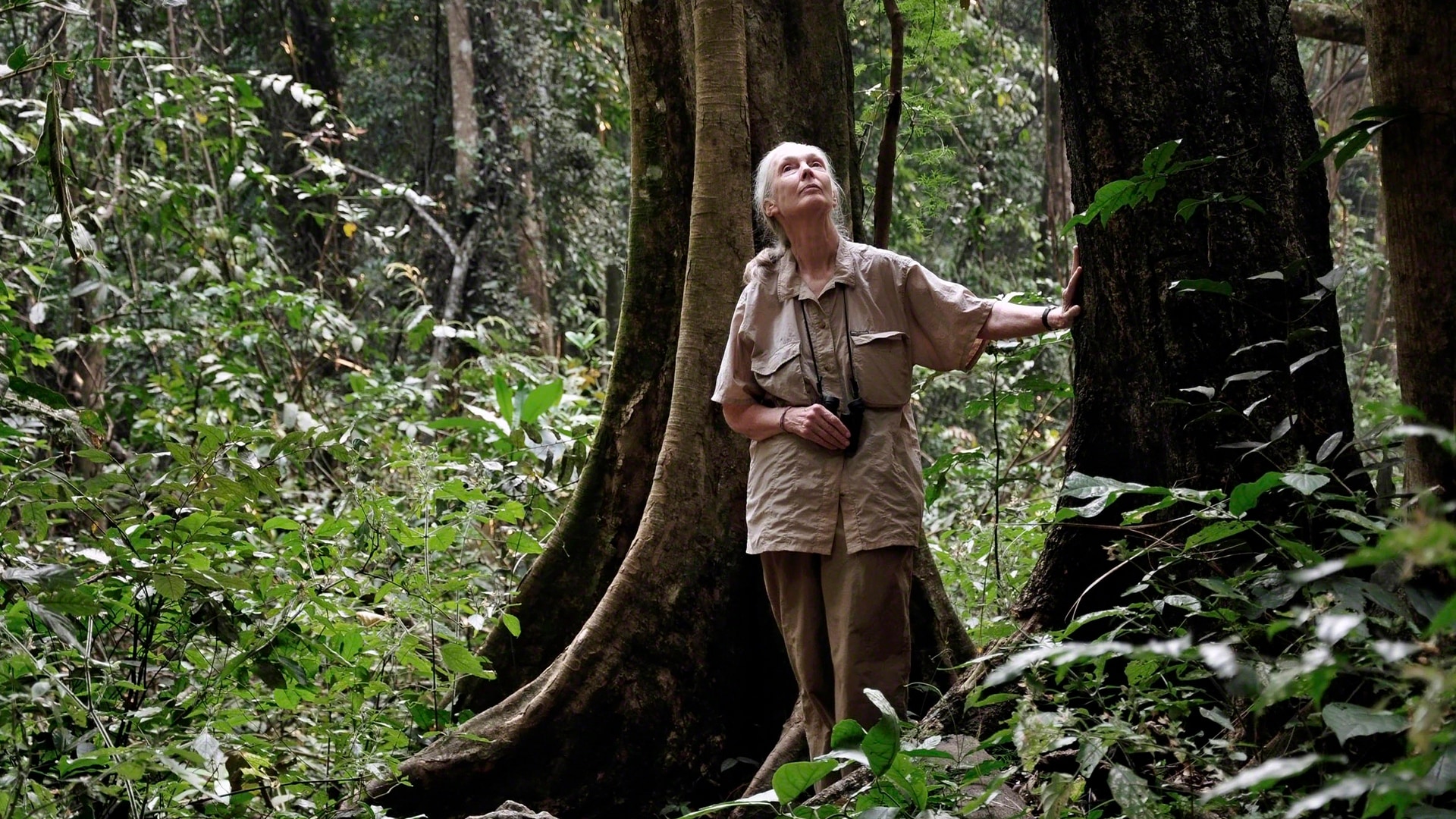 Reasons for Hope <br> Jane Goodall slide 0