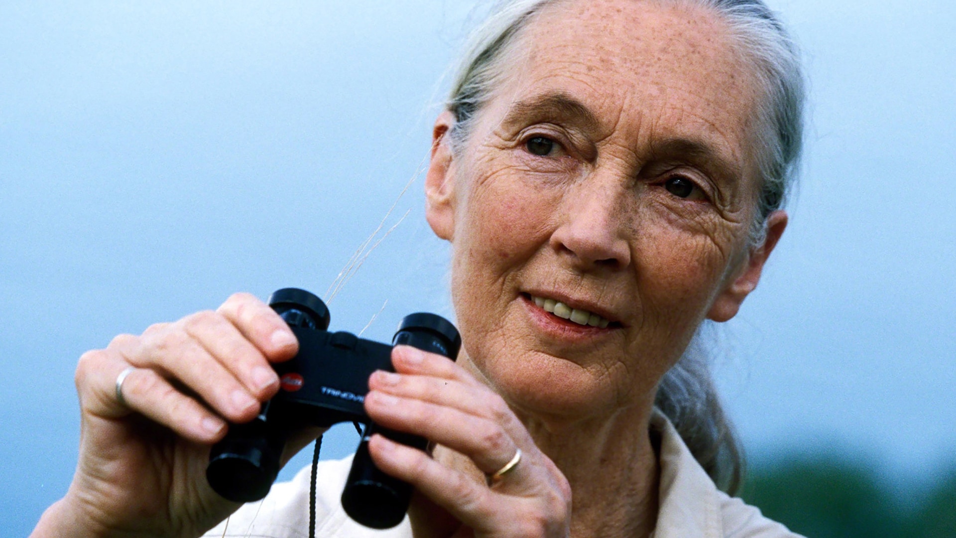 Reasons for Hope <br> Jane Goodall slide 1