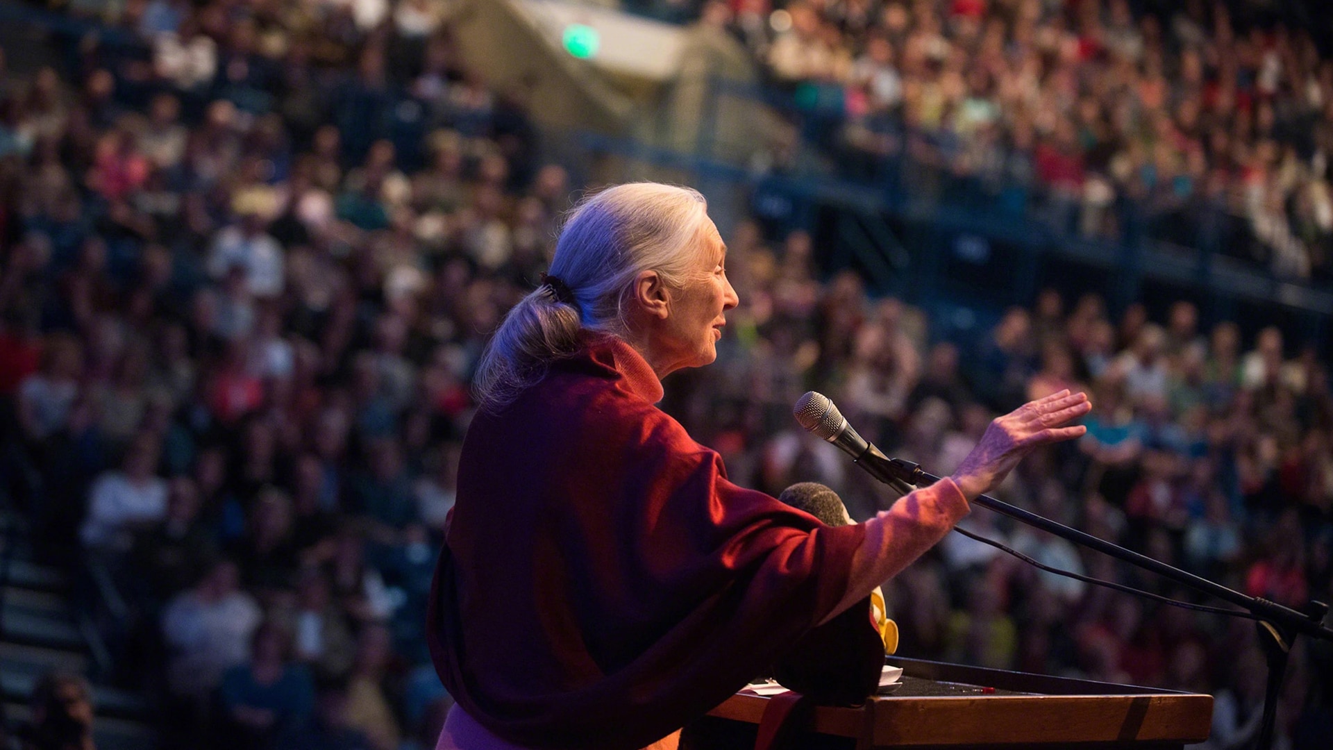 Reasons for Hope <br> Jane Goodall slide 2