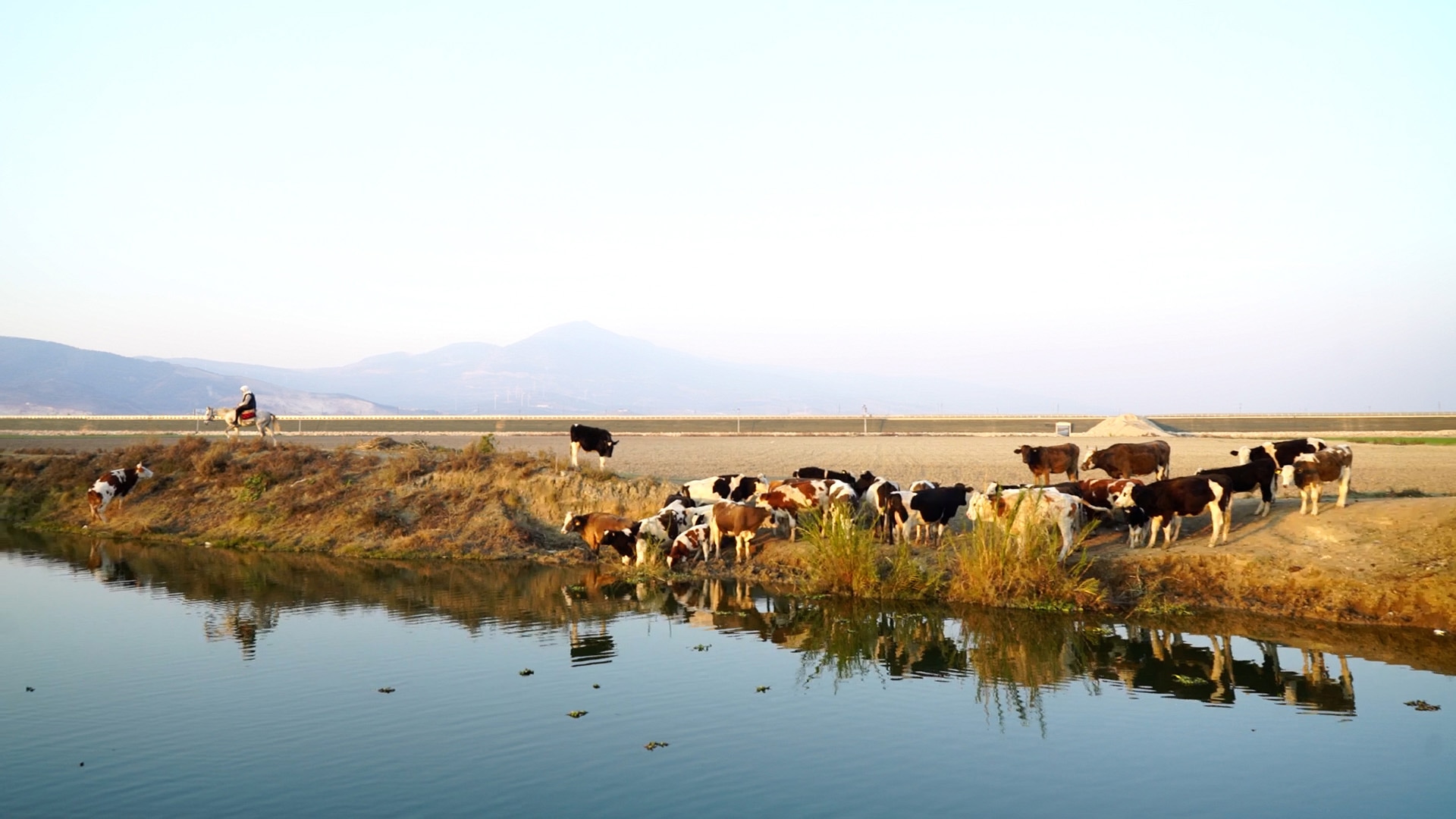 DOCUMENTARIST <br> 18th Istanbul Documentary Days 14