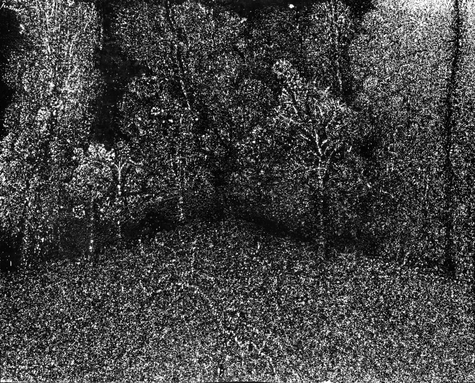 Midnight Horror Stories:  The Moon Pool <br> Işın Beril Tetik