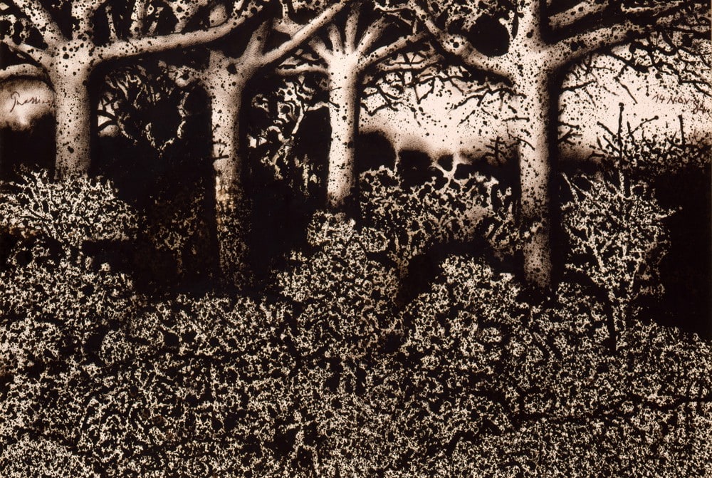 Midnight Horror Stories: Pollens, Photosynthesis & Rock ‘N’ Roll <br> Murat Başekim