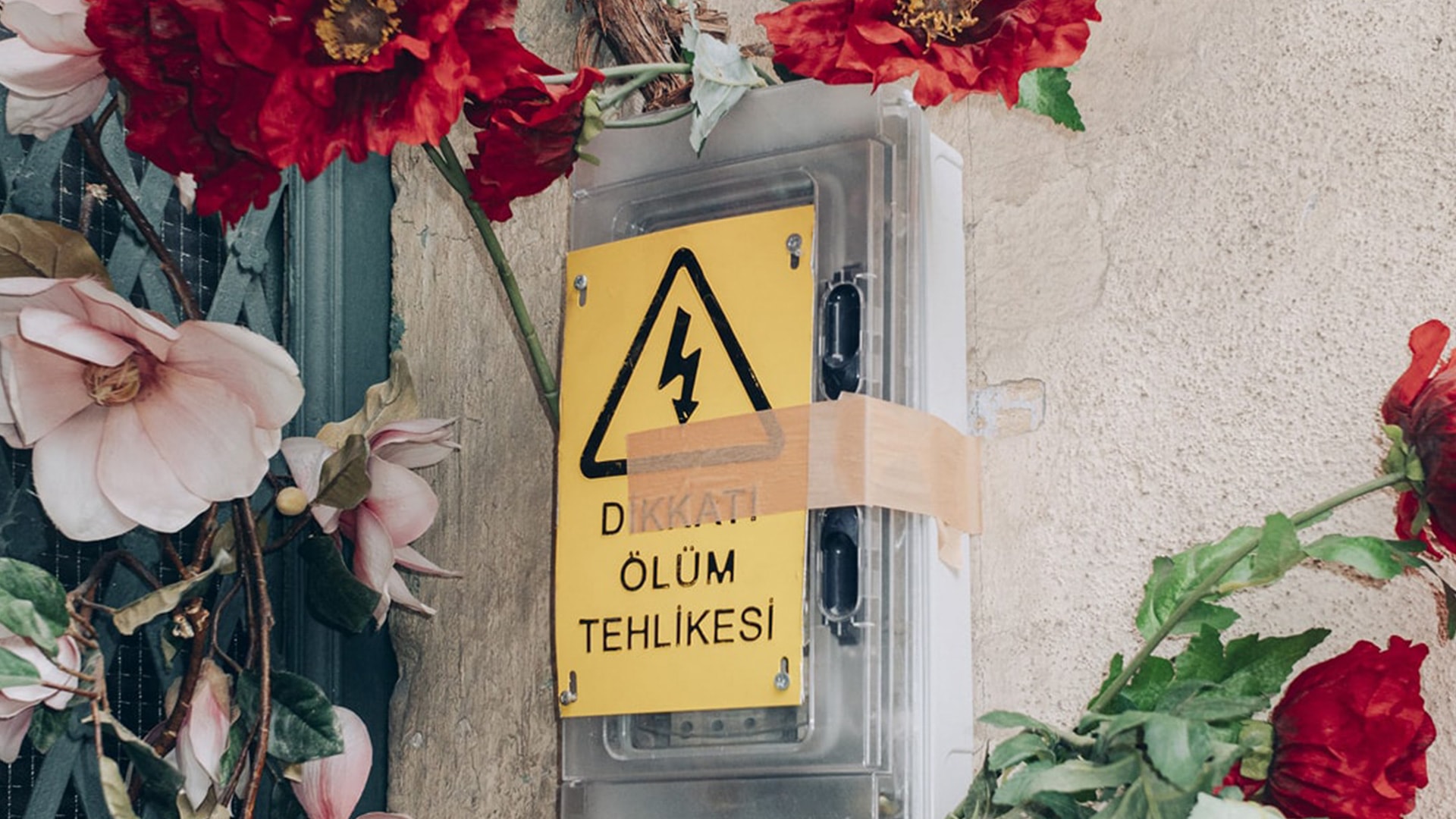 Today's Stories: Cihangir <br>Özge Baykan Calafato